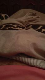 davidof3127 webcam model stream image