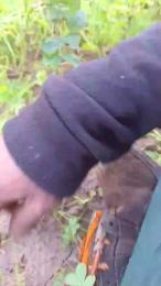 Lurio webcam cam4 model stream image