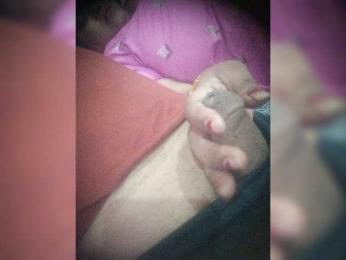 Cute-Couple webcam model stream image