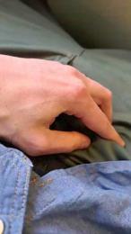 Sir_Davide webcam model stream image