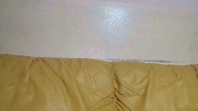totem45 webcam model stream image