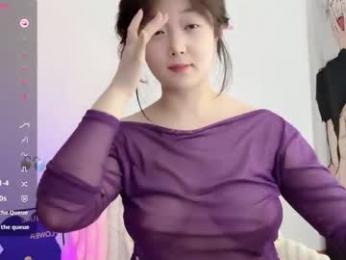 _flipped_ webcam model stream image