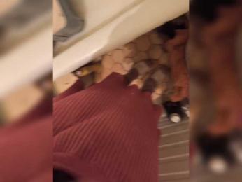 Frummi webcam model stream image