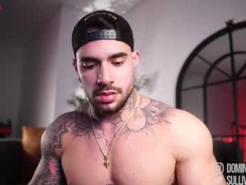 dominic_sullivan1 webcam chaturbate model stream image