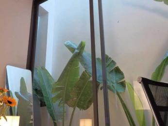 came-a-lot webcam model stream image