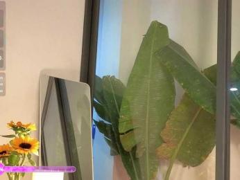 came-a-lot webcam model stream image