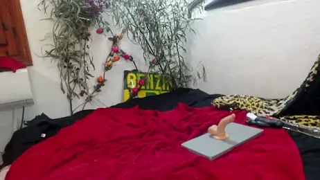 SweetJojo1993 webcam model stream image