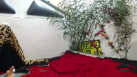 SweetJojo1993 webcam model stream image