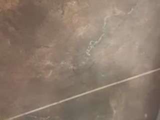 renothadon webcam model stream image