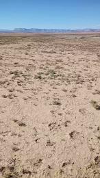 poindexxxter1 webcam model stream image