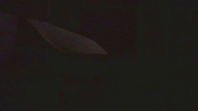 grifo18 webcam cam4 model stream image