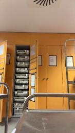 Michback webcam model stream image