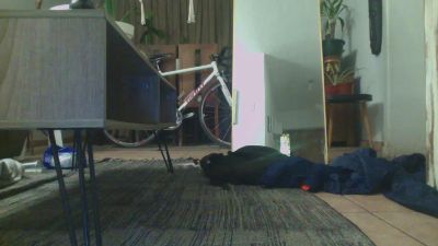 tomislay webcam cam4 model stream image