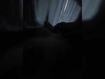Palmer404 webcam model stream image