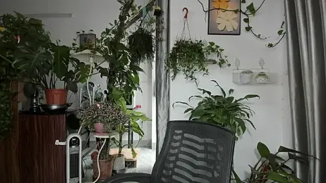 Oliver_Nl webcam model stream image