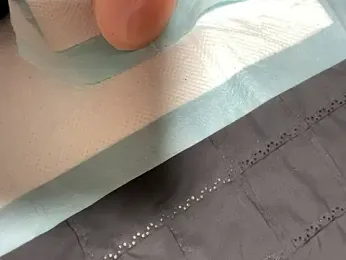 koreanbottom03 webcam model stream image