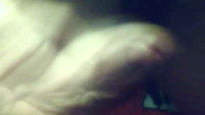 stefan6264 webcam cam4 model stream image