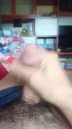 Plinplinn webcam model stream image