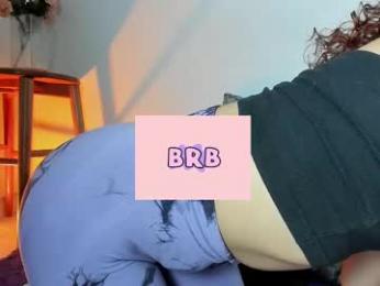 wini_fer webcam model stream image
