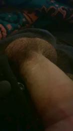 cosmo831 webcam model stream image