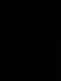 gerrelli webcam model stream image