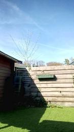 jef34 webcam model stream image