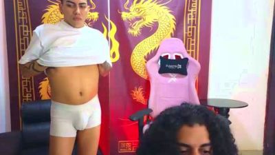 Elberthswift webcam model stream image