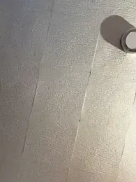 Evelin199 webcam model stream image