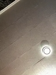 Evelin199 webcam model stream image