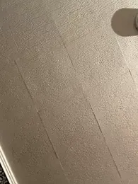 Evelin199 webcam model stream image