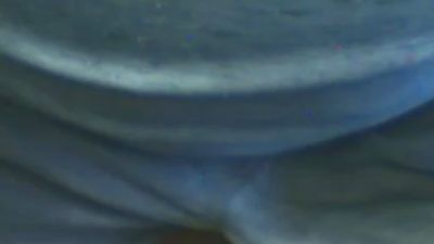 triplete webcam model stream image