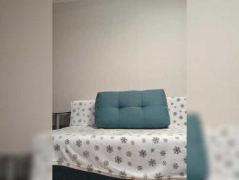 Palmyra webcam model stream image