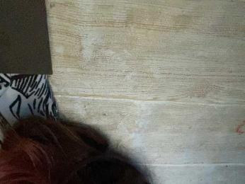 Rainie webcam model stream image