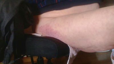 berti15 webcam model stream image