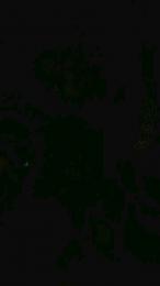 nancyrossy2 webcam model stream image