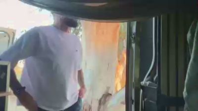 MascVersFFun webcam cam4 model stream image