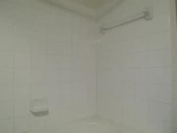 bigdicktrannynicole webcam chaturbate model stream image