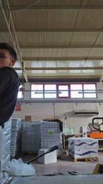 robinodxxx webcam cam4 model stream image