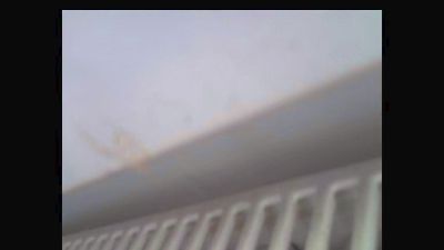 romant99991 webcam model stream image