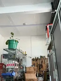 Paul22cm- webcam model stream image