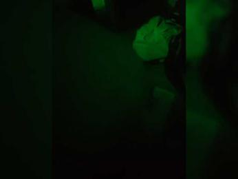 alinkaawww111 webcam model stream image
