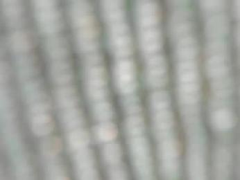 julessy_bonny webcam model stream image