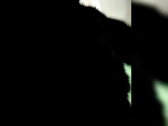 RelishSavor webcam bongacams model stream image