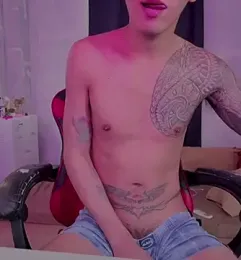 imagen del stream de Prince-Yves
