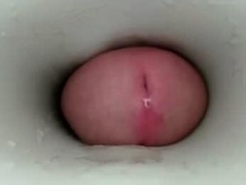 jeffrodgerschaturbat webcam model stream image