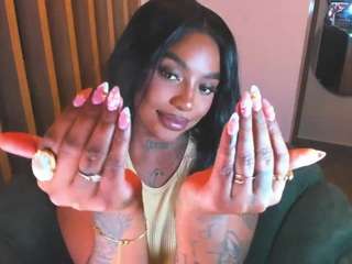 teerry webcam model stream image