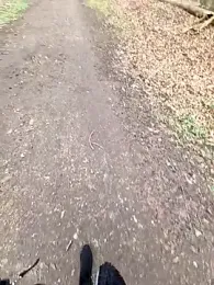 LadyLeni webcam stripchat model stream image