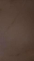 susanna40 webcam model stream image