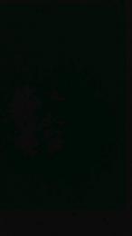 Negrito186 webcam model stream image