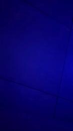 Reinacaliente webcam model stream image